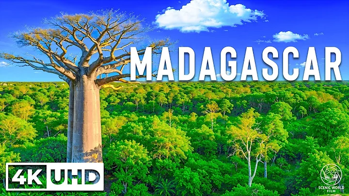 MADAGASCAR 4K - Baobab Trees, Wild Forests & Unique Landscapes With Relaxing Music
