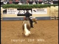 Celebrity reining  lyle lovett     2008