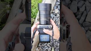 Fine Art In A Frame Helblads Botanical Precision