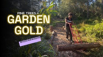 Turning Pine Trees into Garden Gold | Produce No Waste