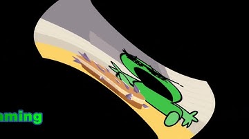 Preview 1982 Two Cheesecake Center Effects