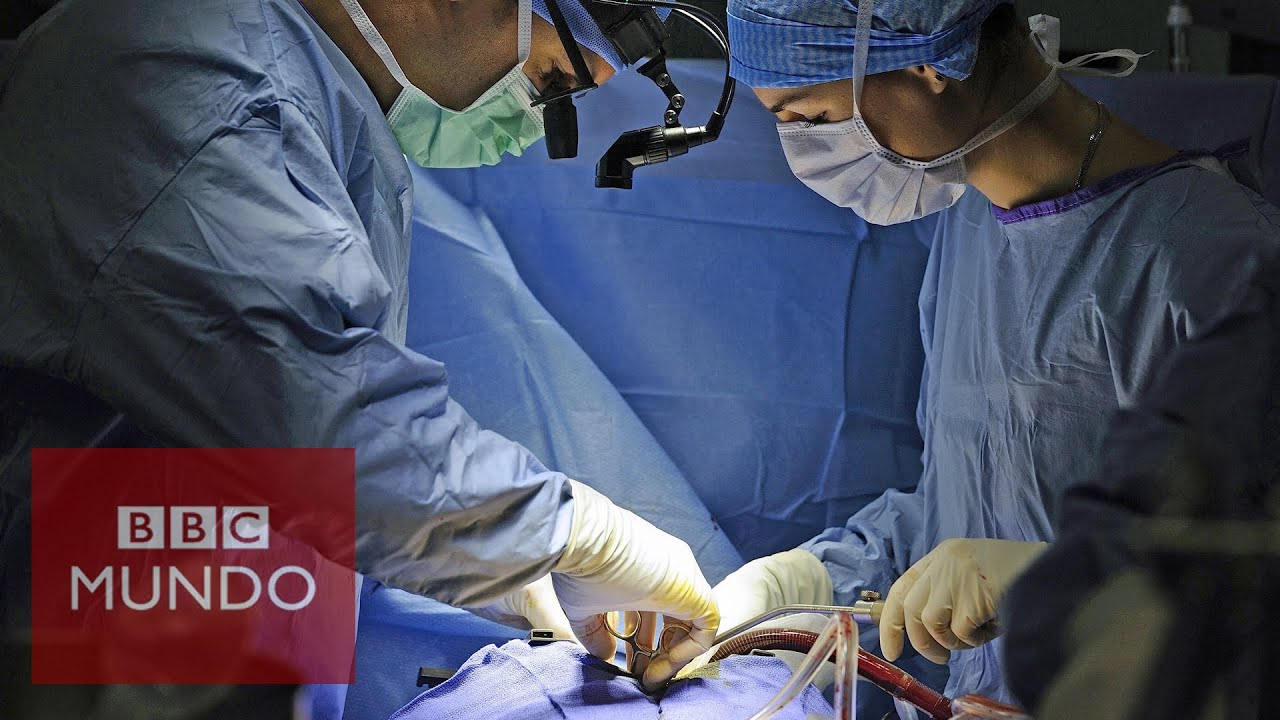 Cómo es el hospital que realiza más operaciones de corazón en el mundo videos for cats