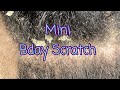 Birthday Scratch LIVE