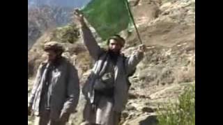 Hezbi Islami Mujahideen