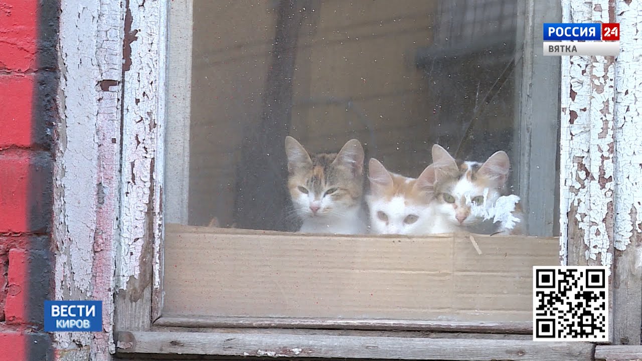 Возмущена что дом купил не белый. Lss1/2 abb. Возмущена что дом купил не белый. Сша и нато не угрожают россии. Возмущена что дом купил не белый.