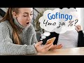 GOFINGO начисляют большие % | Списание по кредиту | МФО Украины