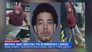 Full Video shows gunman shoot customer during Bronx store holdup Guide