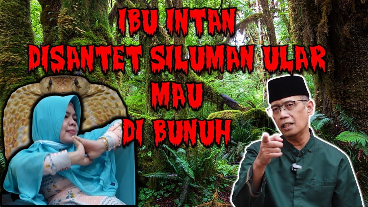 IBU INTAN DISANTET SILUMAN ULAR MAU DI BUNUH