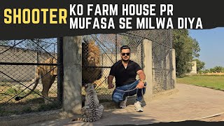 White Tiger Ki Tangien Theak Honay k Bad Pheli Br Farm Agya or Mufasa sy Mulakat kr Li|Nouman Hassan