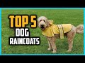 ✅Top 5 Best Dog Raincoats in 2025