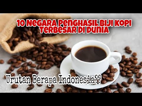 Luar Biasa!! Ternyata Indonesia Masuk 10 Daftar Negara Penghasil Kopi Terbesar Di Dunia