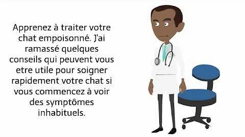 Comment soigner un chat qui a été empoisonné ?