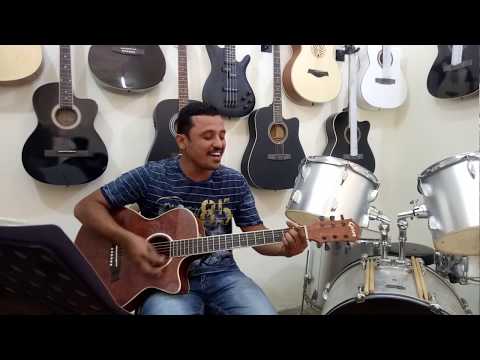 Dil Diyan Gallan | Tiger zinda Hai | Acoustic guitar cover