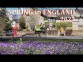 Spring in northwest england  early march 2023