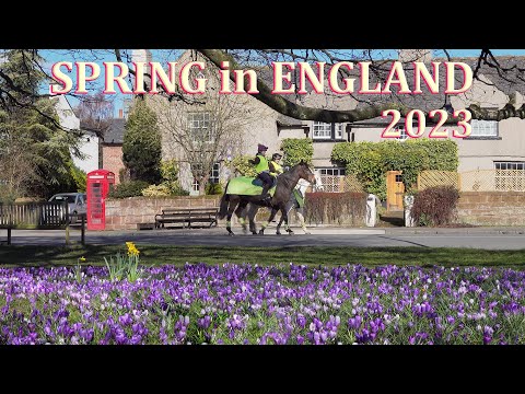 Spring in North-West England - early March 2023