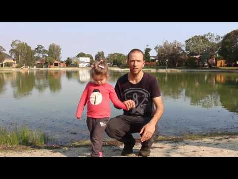 Toxic health scare in Patterson Lakes