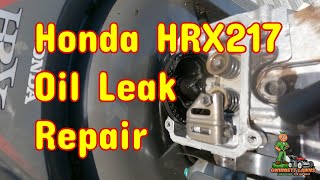 Honda HRX 217 BAD Oil Leak Repaired  Super EASY Fix