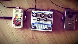 DOD Rubberneck Analog Delay (First Look)