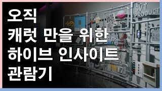 오직 캐럿 만을 위한 하이브 인사이트 관람기