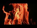 1 Hour of Jungle Campfire Sounds | Relaxing Forest Ambience with Birds #NatureSounds #RelaxingSounds