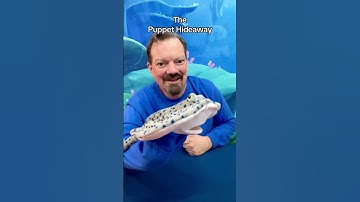 Puppet of the Day - Stingray puppet made by Sunny Toys - The Puppet Hideaway with Eric Thomsen