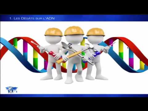 Jeunesse global présentation opportunité en Français