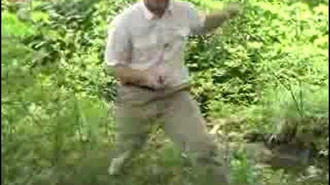 Rejuvenation Pruning of Deciduous Azaleas (Part 3 of 3)