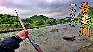 こんなことあっていいのか⁉増水中の吾妻川で渓流釣り！