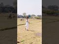 gajab ka sixer mara hai bhai 🏏🥎 #trending #viral #shotrs #cricketlover #cricketfans