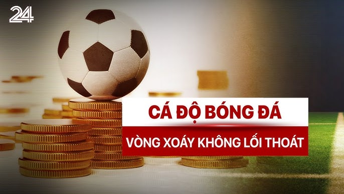 Cá Cược Bóng Đá Uy Tín - Khám Phá Thế Giới Cược Thể Thao Tại https//cacuoc-bongda.info/