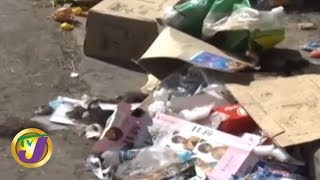 Leptospirosis Worries in St. Catherine (TVJ Prime Time News) January 21 2019 Clip 2 of 3