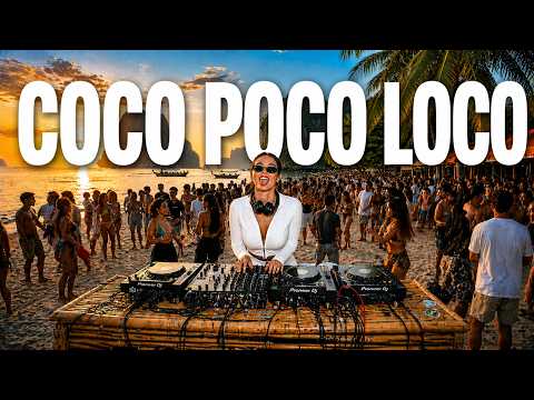 Coco | Poco Loco | 𝑨𝑭𝑹𝑶 SSS 𝑹𝑬𝑴𝑰𝑿 |