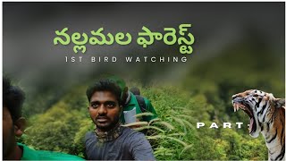 NALLAMALA FOREST | నల్లమల అడవులు పదండి చూసి వద్ధం| part -2 | #teluguphotographyvlogs #viewfindersnap