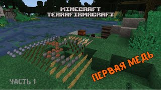 Minecraft TerraFirmaCraft Hardrock #1 Первая медь