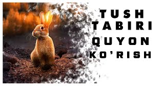 Tushda Quyon ko'rish Tabiri