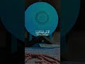 كل نفس ذائقة الموت تلاوة تبكي القلوب بصوت عبد الرحمن مسعد Quran Recitation عبد الرحمن مسعد كل نفس ذائقة الموت تلاوة تبكي القلوب بصوت عبد الرحمن مسعد Quran Recitation عبد الرحمن مسعد