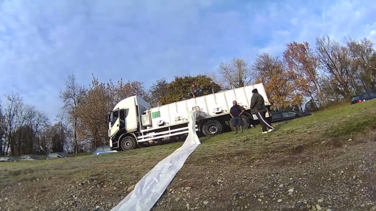 laghetto sgagna - le seconda semina delle 7000 trote! USTIAAA