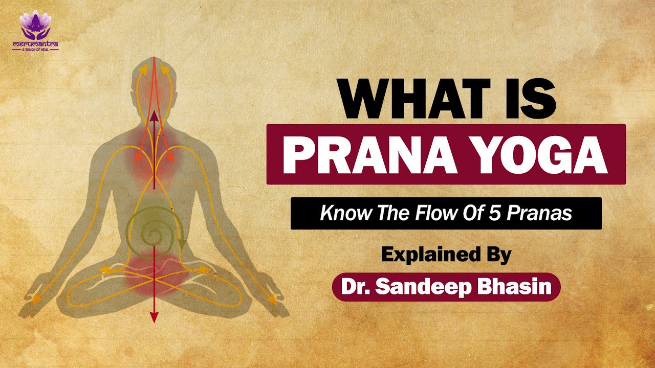 What Are The 5 Pranas in Yoga? Guided Prana Yoga Breathe, Balance,  Relaxation & Transform Dr Sandeep 