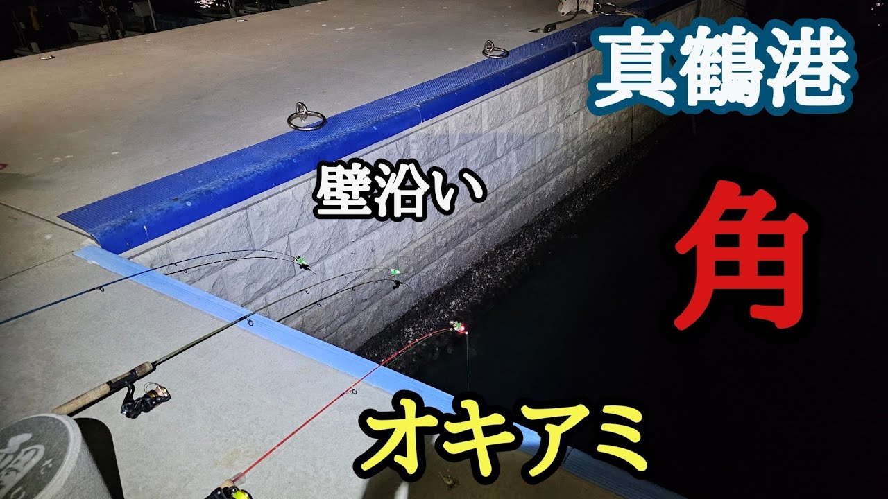 【真鶴港】角の壁沿い 足元にオキアミをそっと落として、鈴をつけてちょい投げ夜釣り