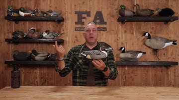 Final Approach Last Pass Pintail