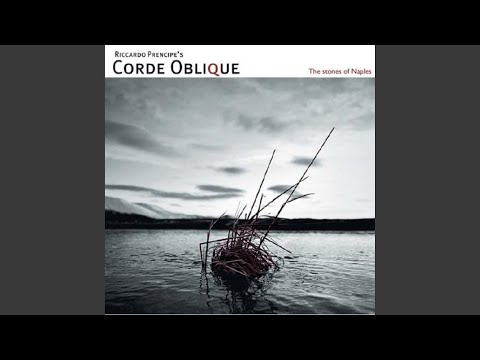 Из Неаполя с любовью. Риккардо Пренчипе и его Corde Oblique