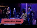 ONE ON ONE: Steve Earle &amp; The Dukes - Harlem River Blues January 3rd, 2021 City Winery New York