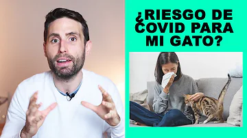 ¿Los gatos pueden contagiarse COVID de los humanos?