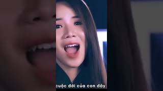 Download Lagu Ôi Lạy Đức Nữ Vương , Trái Tim Mẹ Đầy Ắp Tình Thương #nhạcthánhca #thánhcacônggiáo #thanhcahaynhat # MP3 Download Lagu Ôi Lạy Đức Nữ Vương , Trái Tim Mẹ Đầy Ắp Tình Thương #nhạcthánhca #thánhcacônggiáo #thanhcahaynhat # MP3