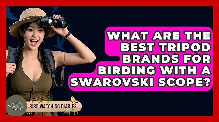 What Are The Best Tripod Brands For Birding With A Swarovski Scope? - Bird Watching Diaries