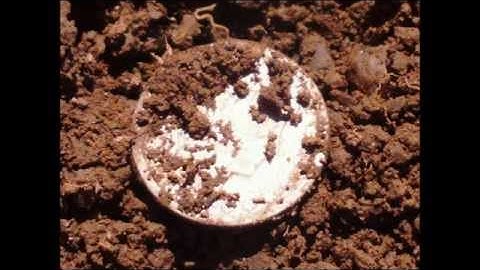 Finding History 29: Metal Detecting The Old Picnic Grove