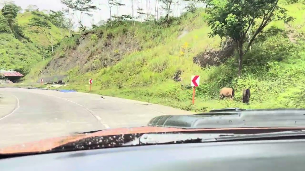 Road trip to Malaybalay, Bukidnon via Kapalong-Talaingod Highway