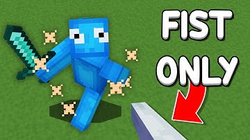 I Won Hive Skywars With ONLY My FIST...