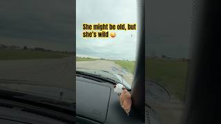 S2K Full Send Around Race Track 🏎️💨 #racing #honda #s2000 #cuocsongmy #hangphungvlogs
