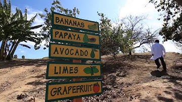 From The Field To You